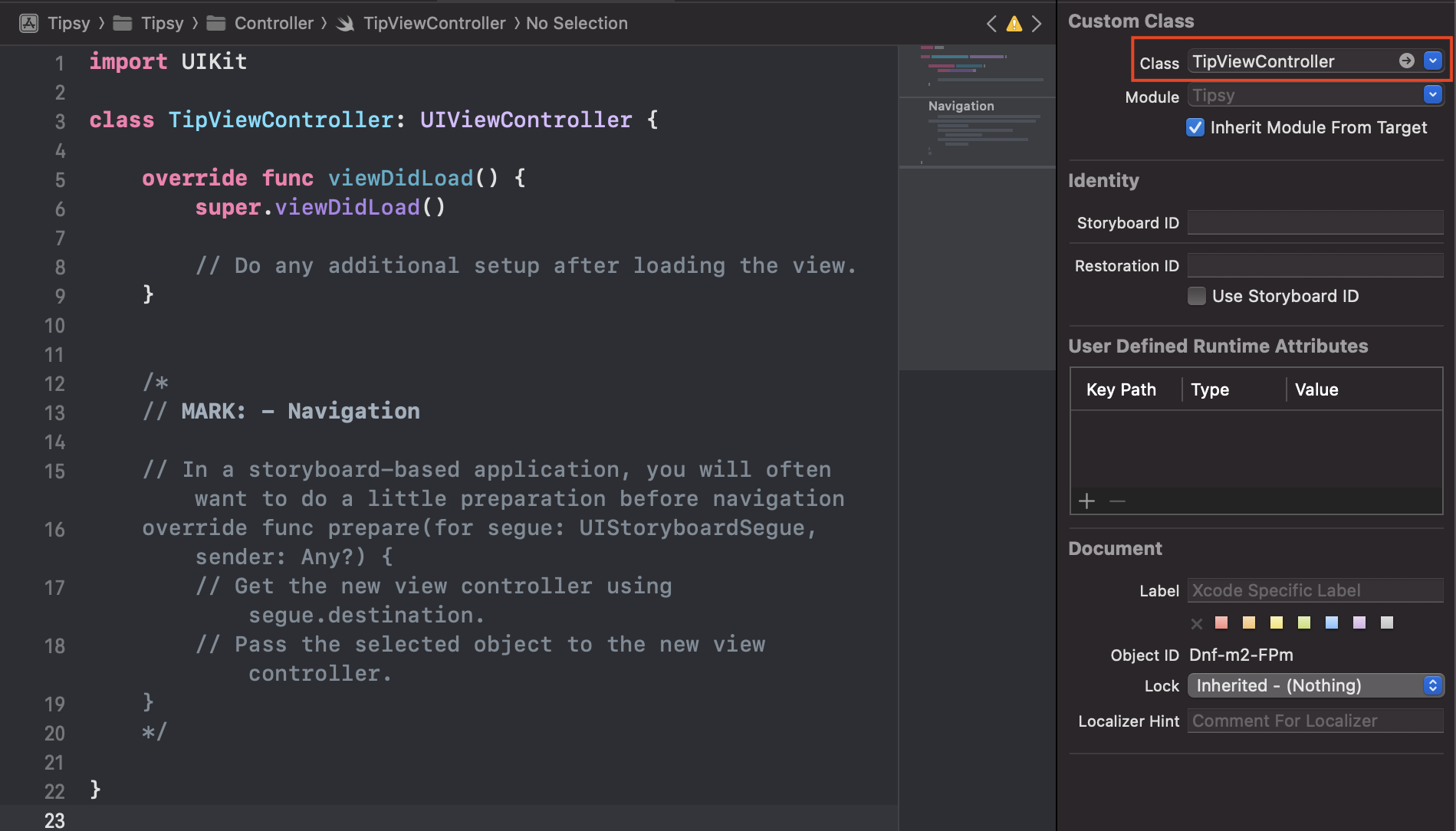 assign-the-storyboard-to-the-matched-controller-3