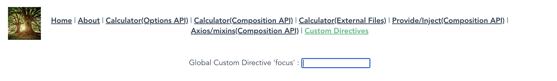 Custom Directives Focus On