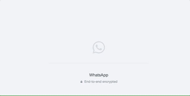 Whatsapp Loading